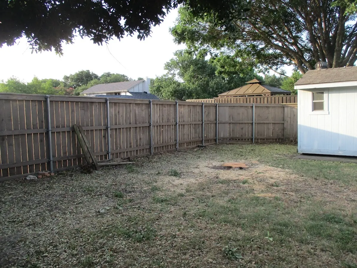 Cleared yard after professional tree removal in Douglas
